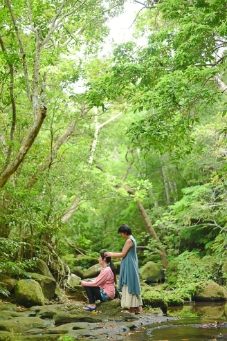 セロトニン活性療法